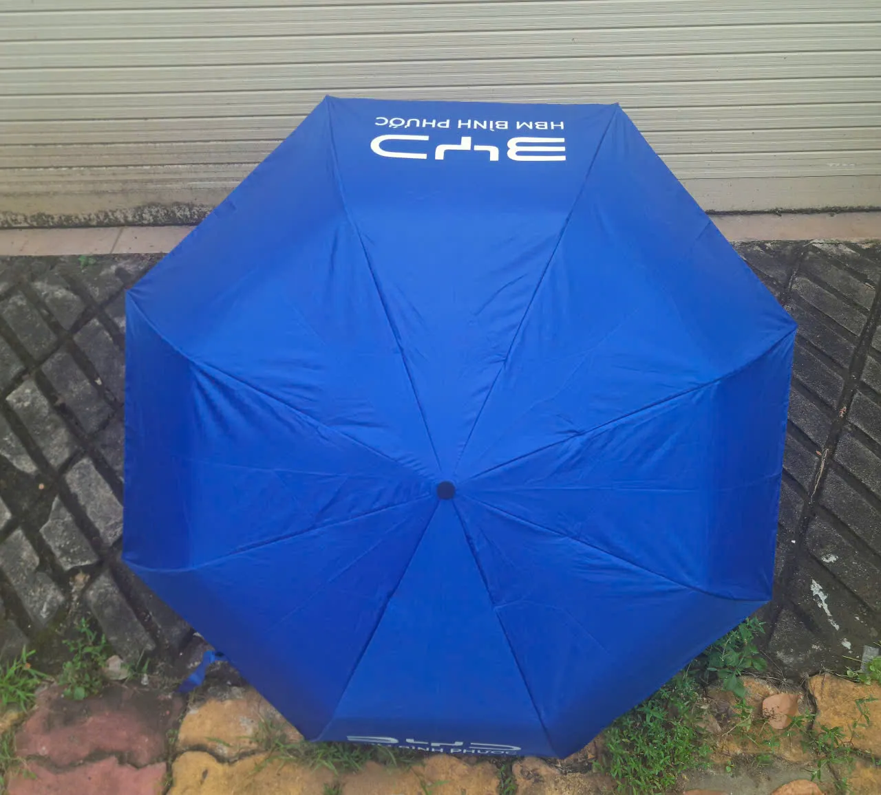 Organic Size: 1280x1156