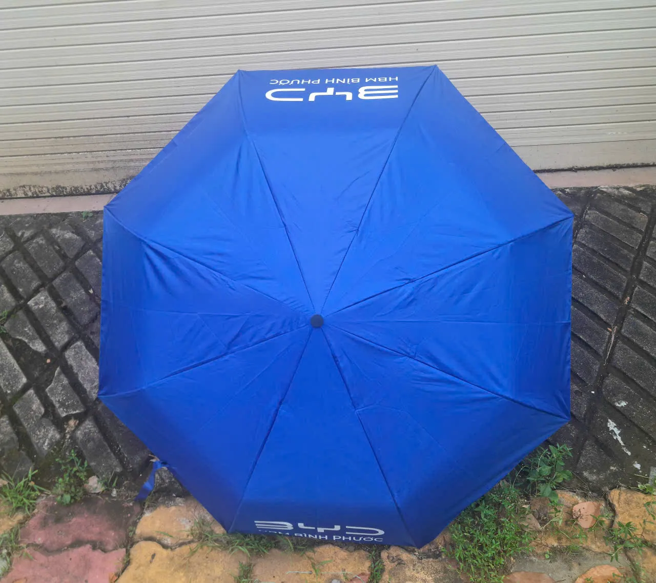 Organic Size: 1280x1137