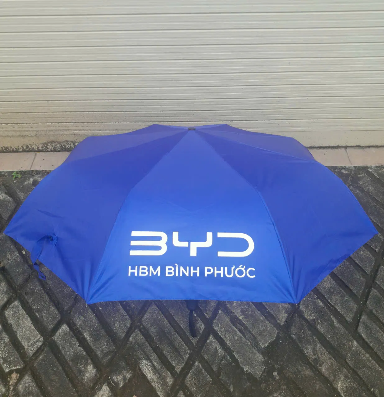 Organic Size: 1236x1280