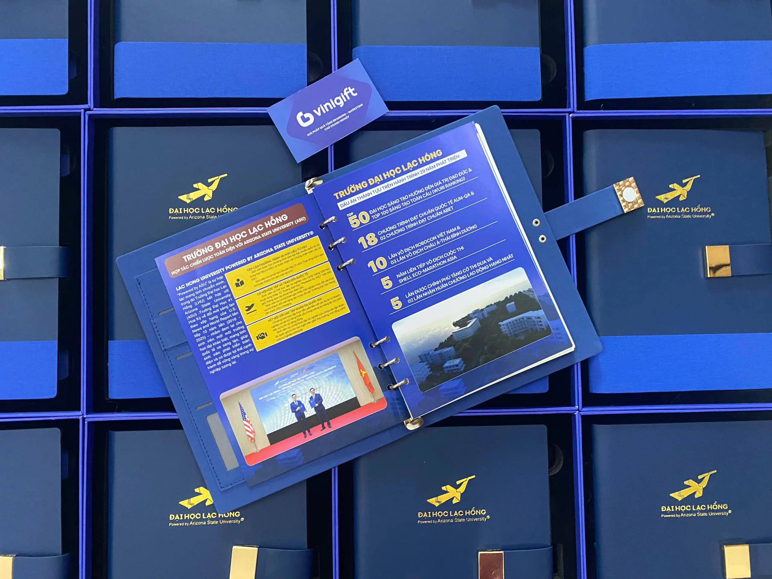 Organic Size: 2560x1920