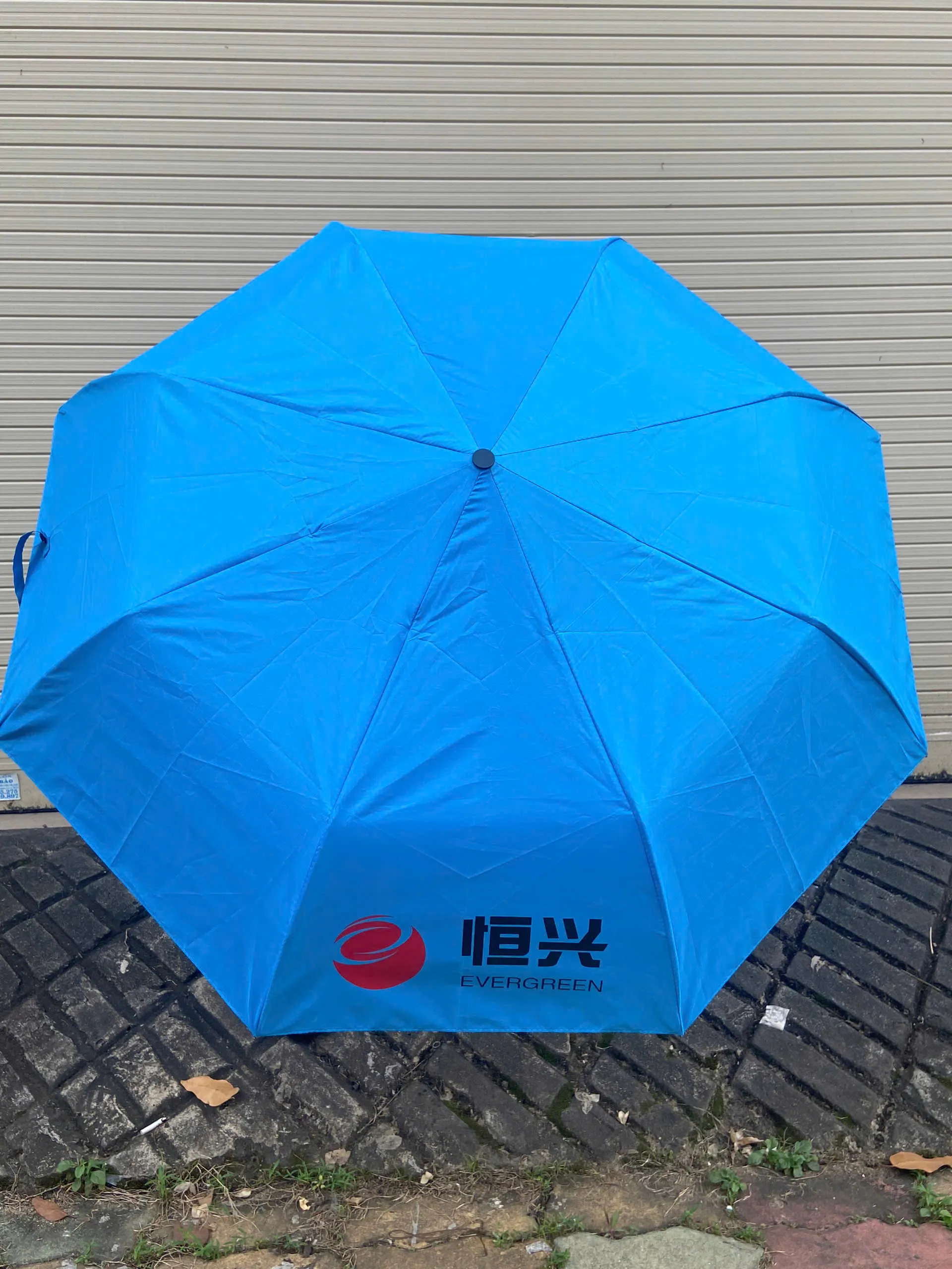 Organic Size: 1920x2560