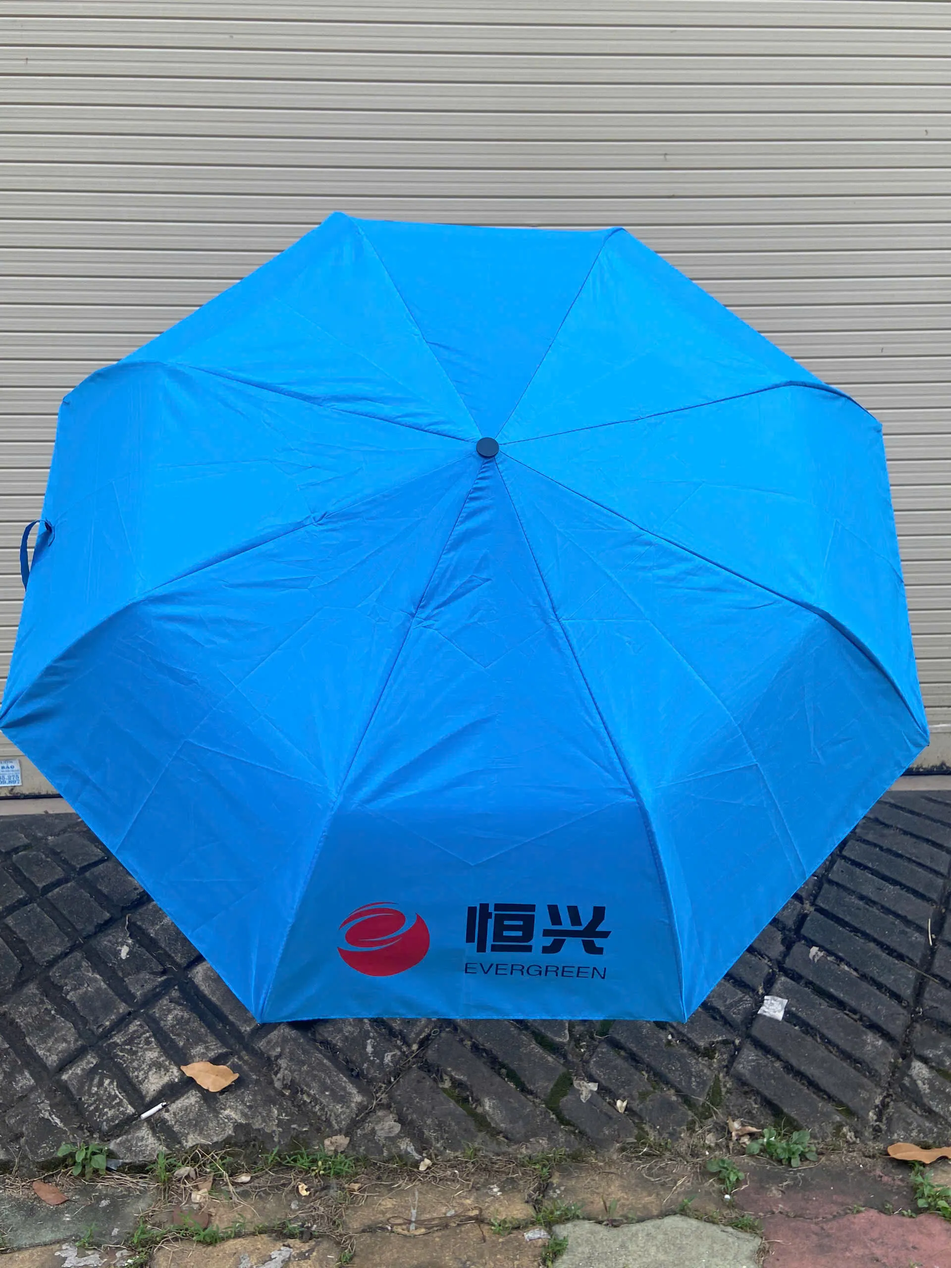 Organic Size: 1920x2560