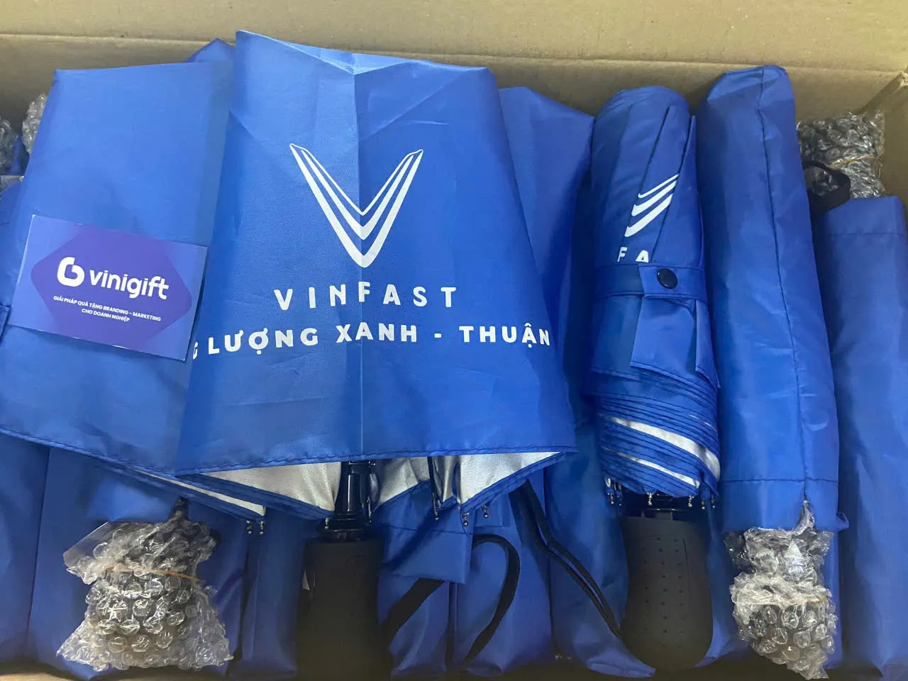 Organic Size: 1280x960