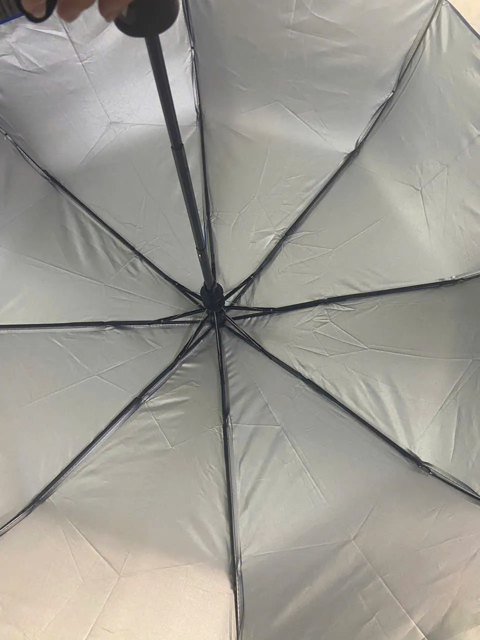 Organic Size: 960x1280