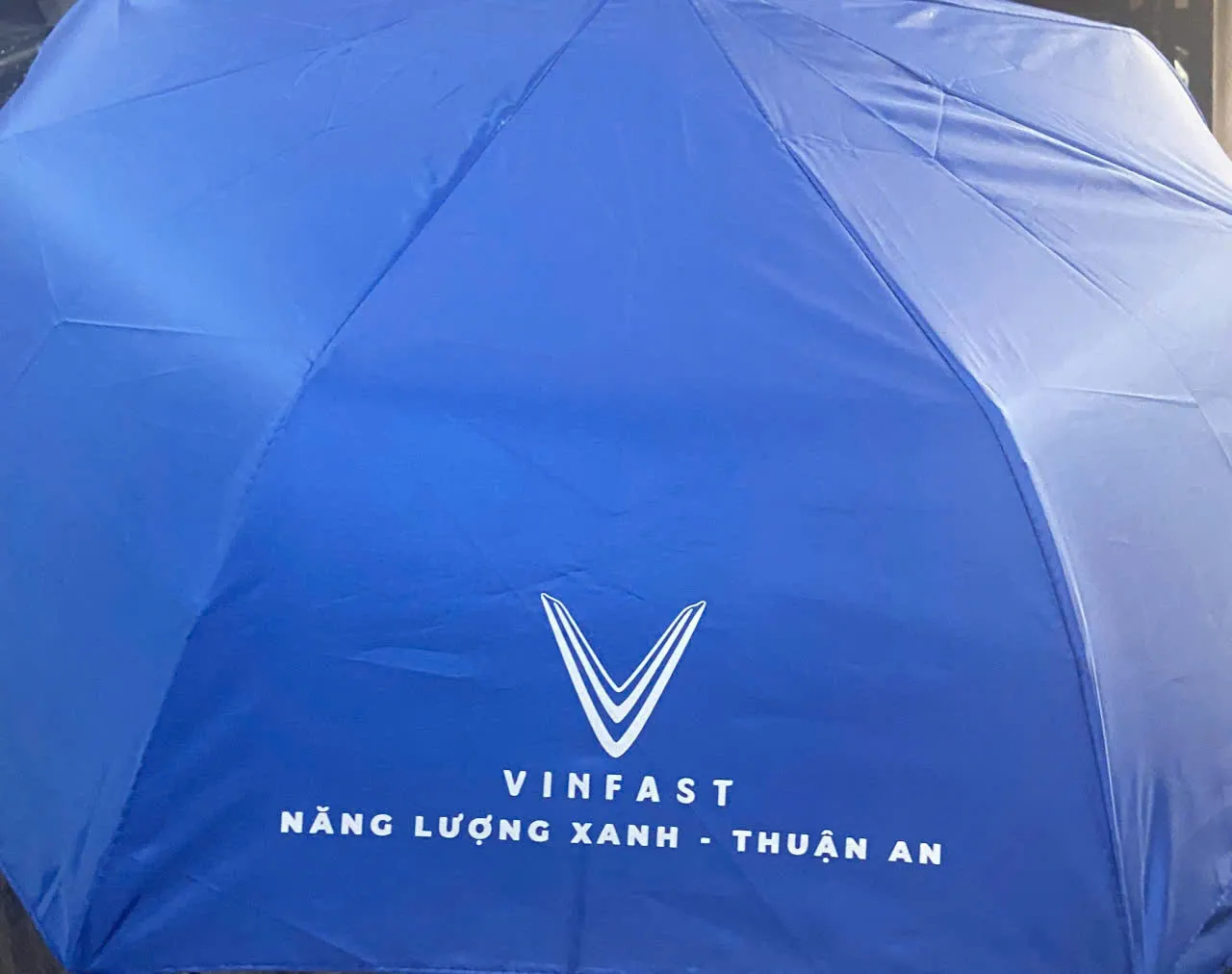 Organic Size: 1280x1012