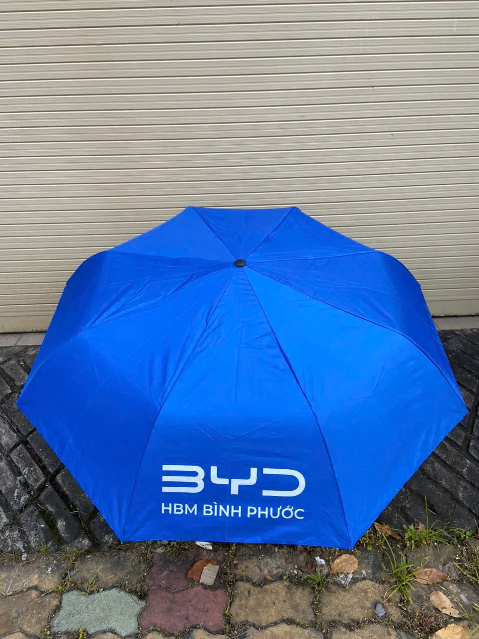 Organic Size: 960x1280