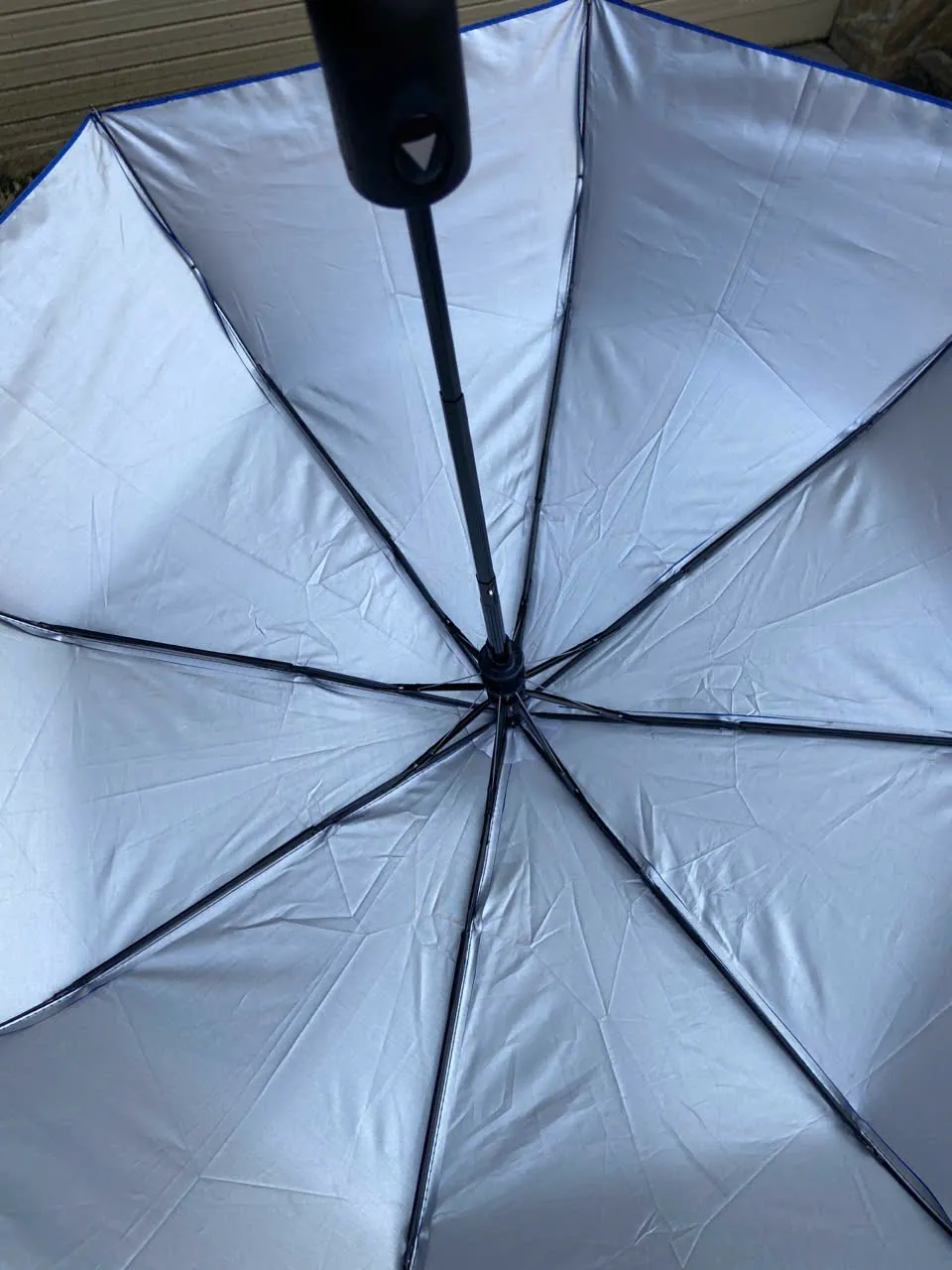 Organic Size: 960x1280